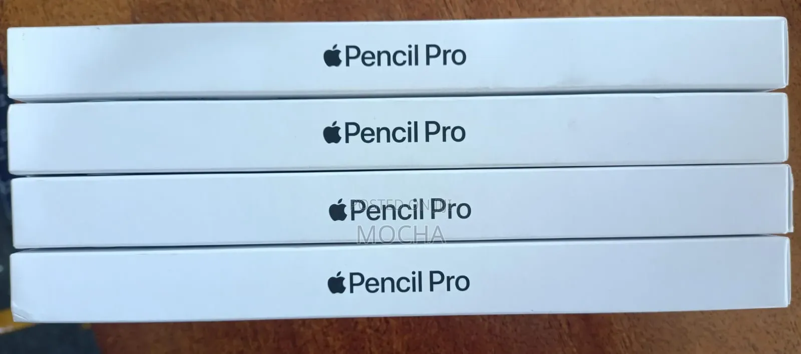 Apple Pencil Pro
