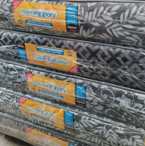 Quilted 8 Inch Mattress Morning Glory Medium Density 6*6