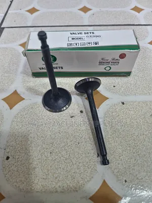 Honda Gx390 Valve Set (13hp Engine)