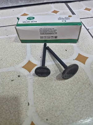 Honda Gx390 Valve Set (13hp Engine)