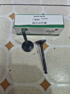 Honda Gx390 Valve Set (13hp Engine)
