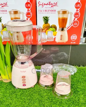 3 in 1 Signature Blender