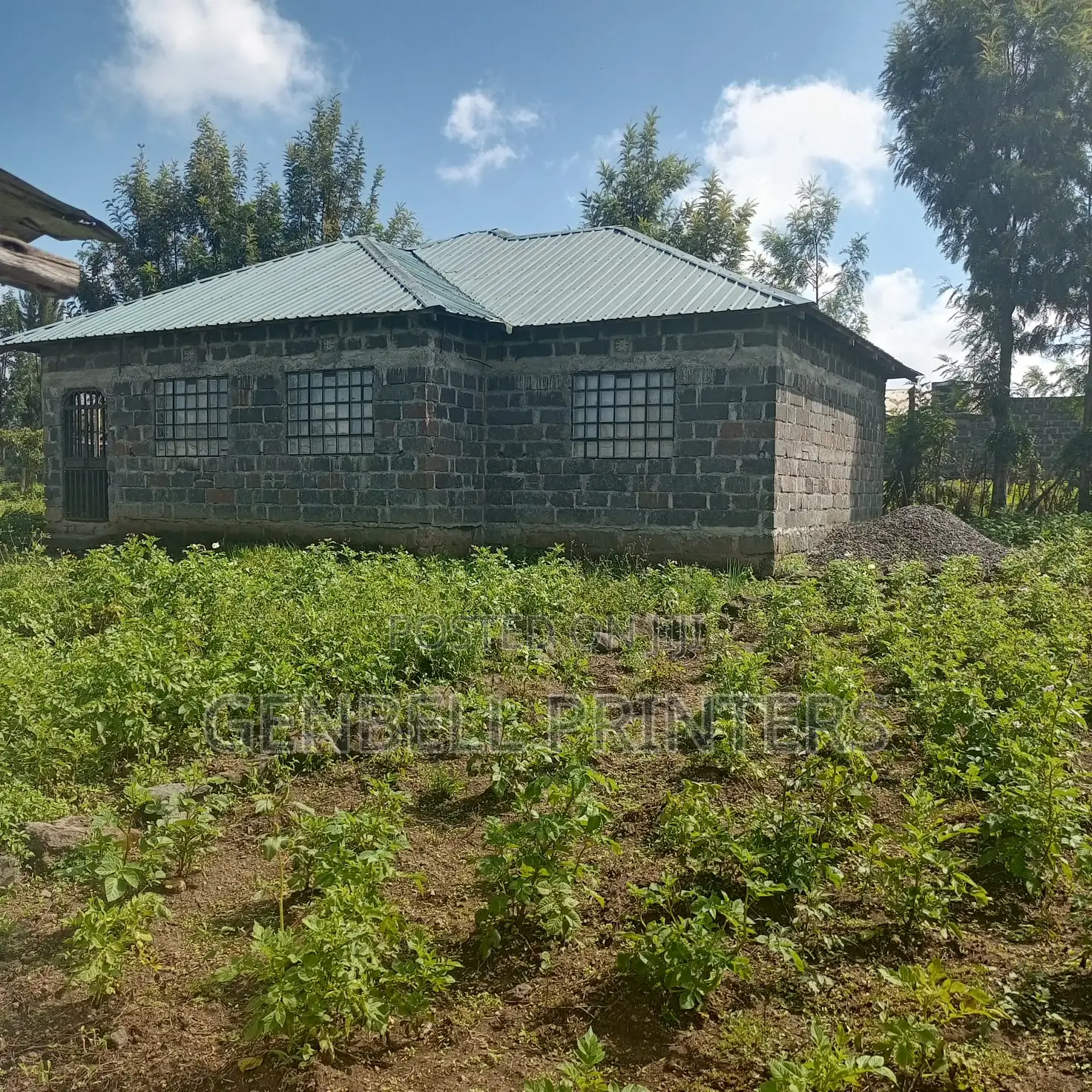 1/4 Acre Plot For Sale In Barnabas