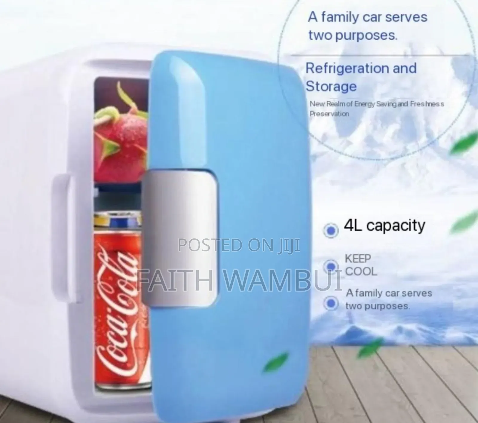 Multi Purpose 4 Litres Car Fridge Ac/Dc Use