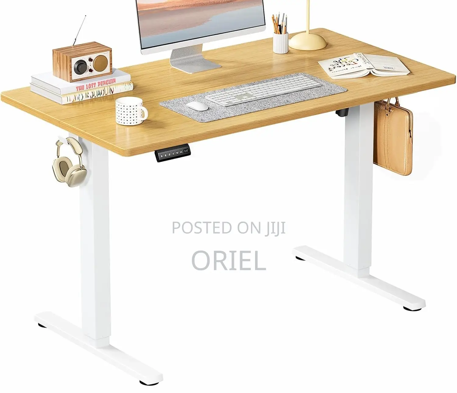 Office Desk : Office 120cm Electric Standing Computer Desk