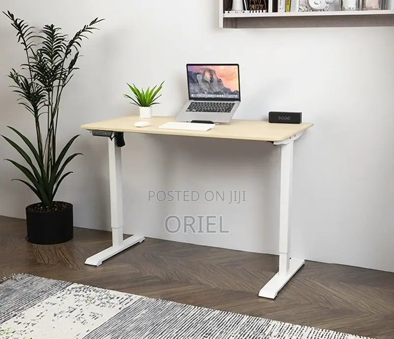 Office Desk : Office 120cm Electric Standing Computer Desk