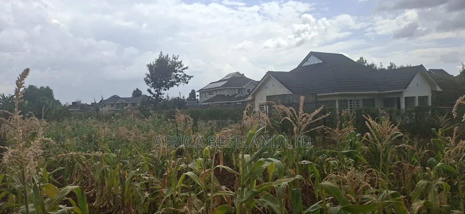 Prime Residential Plots for Sale – Kikuyu (Nairobi Ndogo Estate)