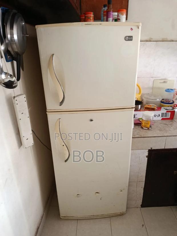 Lg Two-Door Fridge - thumbnail 6
