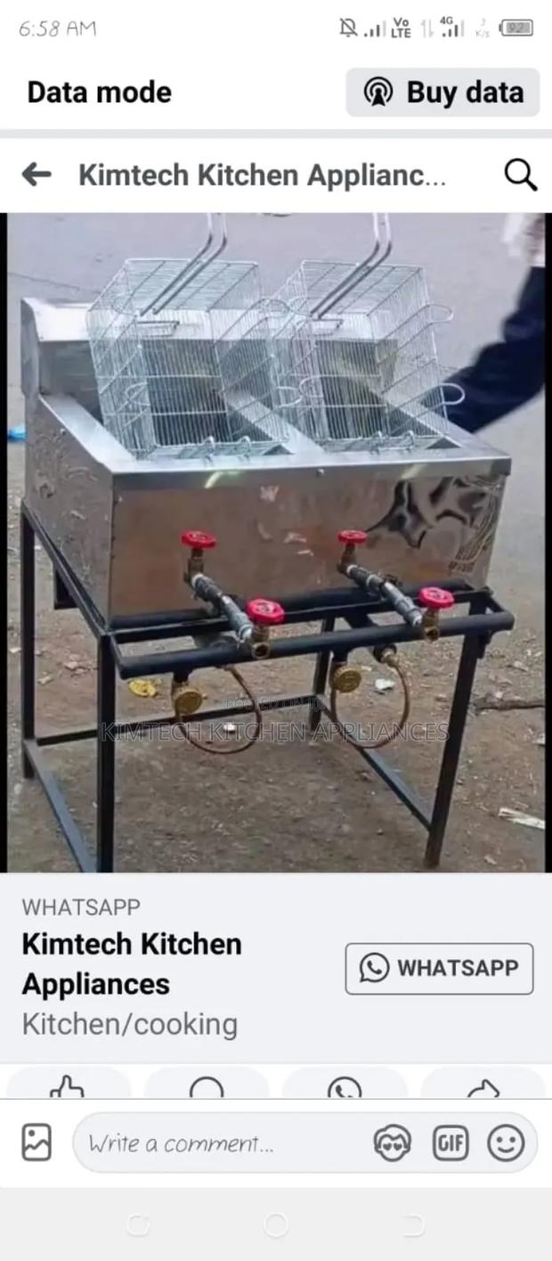 Double Gas Fryer