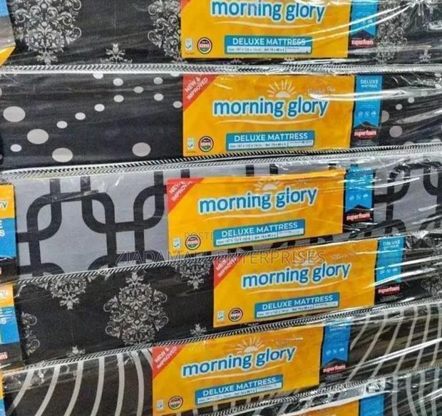 Morning Glory 3.5×6 – 6 Inch Medium Density (Plain