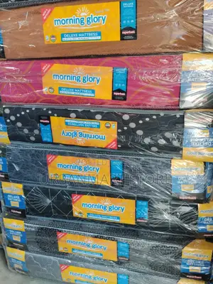 Morning Glory 4×6 8-Inch High Density Foam Mattress Plain Top
