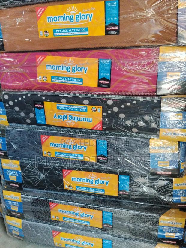 Morning Glory 4×6 8-Inch High Density Foam Mattress Plain Top