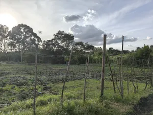 Residential Quarter Acre Plot for Sale in Ngong, Ol Keri
