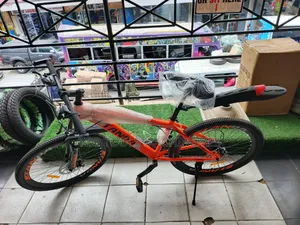 Tanda Bicycle Size 26"