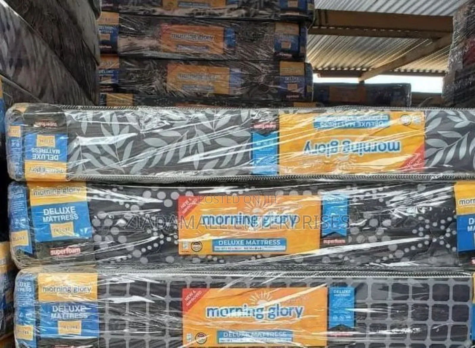 3*6 ,6 Inch Plain Morning Glory Mattress, Medium Density Mattress 6