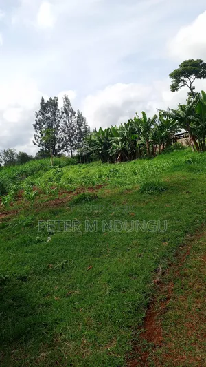 Gatundu Mutomo- Prime One Acre on Sale, Redsoil and Title