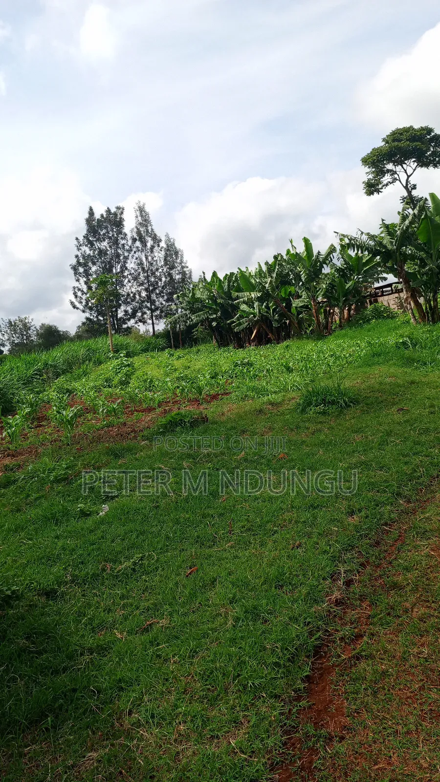 Gatundu Mutomo- Prime One Acre on Sale, Redsoil and Title