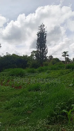 Gatundu Mutomo- Prime One Acre on Sale, Redsoil and Title