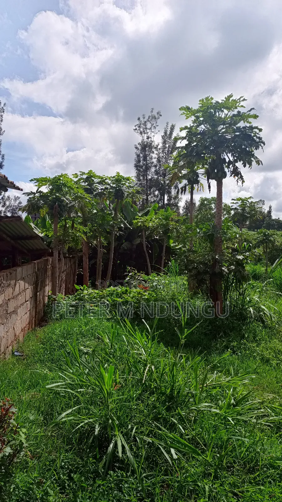 Gatundu Mutomo- Prime One Acre on Sale, Redsoil and Title