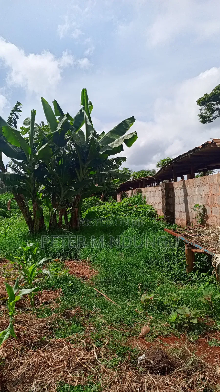 Gatundu Mutomo- Prime One Acre on Sale, Redsoil and Title
