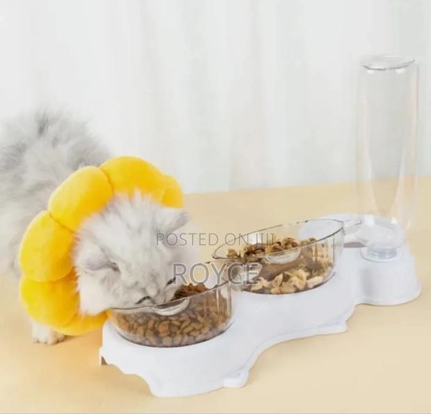 3 in 1 Automatic Pet Feeder - thumbnail 2