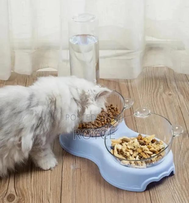 3 in 1 Automatic Pet Feeder - thumbnail 4