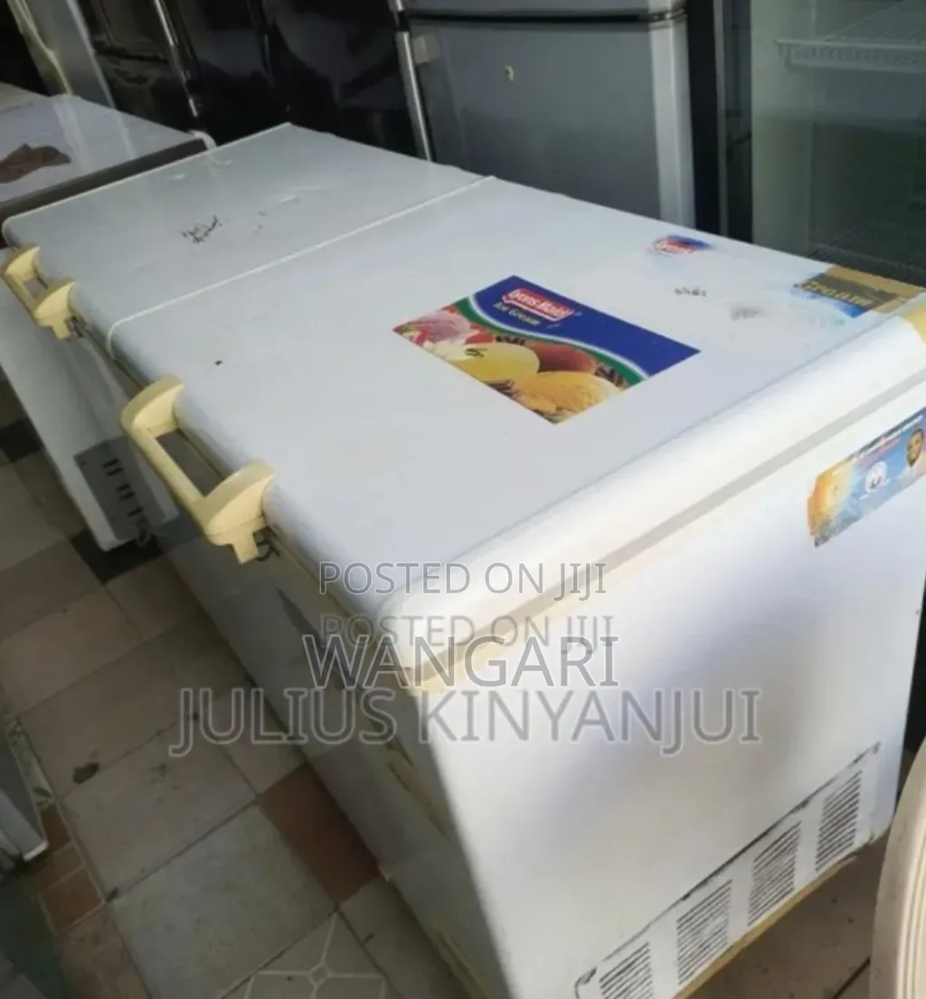 Whitish Skyworth 264litres Freezer