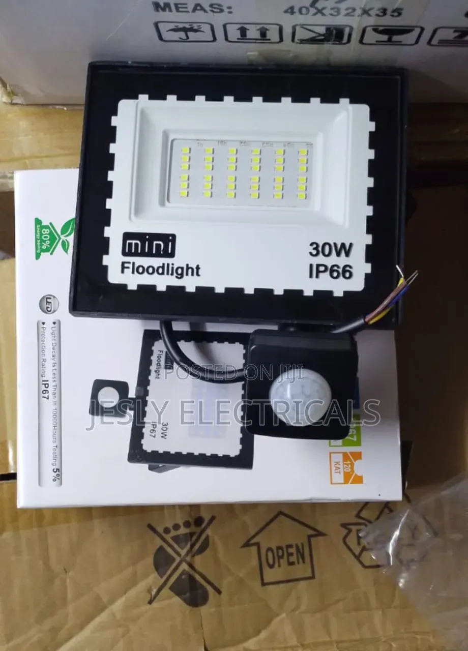 30w Led Mini Floodlight