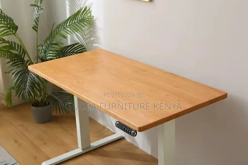 120cm Sit Stand Modern Work Office Desk