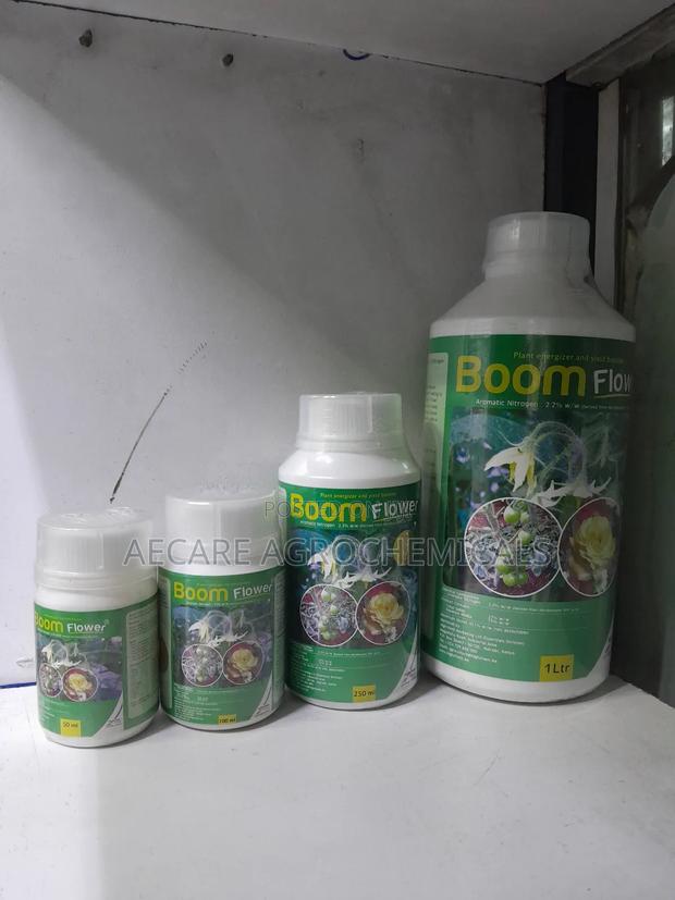 Boom Flower 50ml,100ml, 250ml, 1litre - thumbnail 2