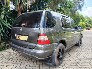 Mercedes-Benz M Class 2003 Gray