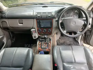 Mercedes-Benz M Class 2003 Gray
