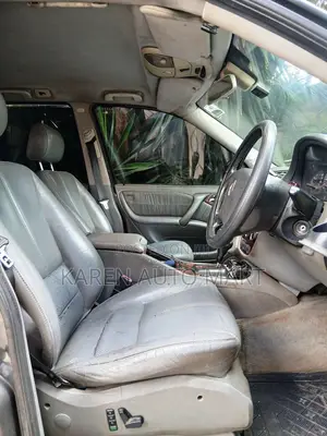 Mercedes-Benz M Class 2003 Gray