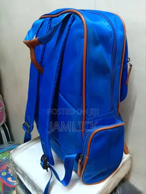 Large School / Office / Travel Backpack