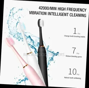 Rechargeable Electric Toothbrush