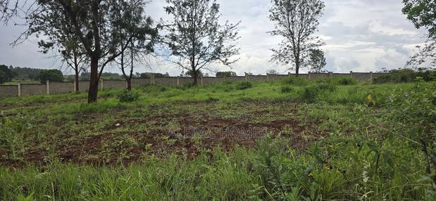 A Prime Quarter-Acre Plot Is Available for Sale in Thika Green.