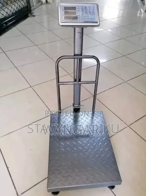 Commercial 300kgs Platform Weigh Scale