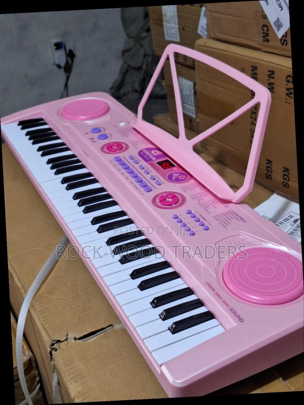 Professional Piano With Inbuilt Battery