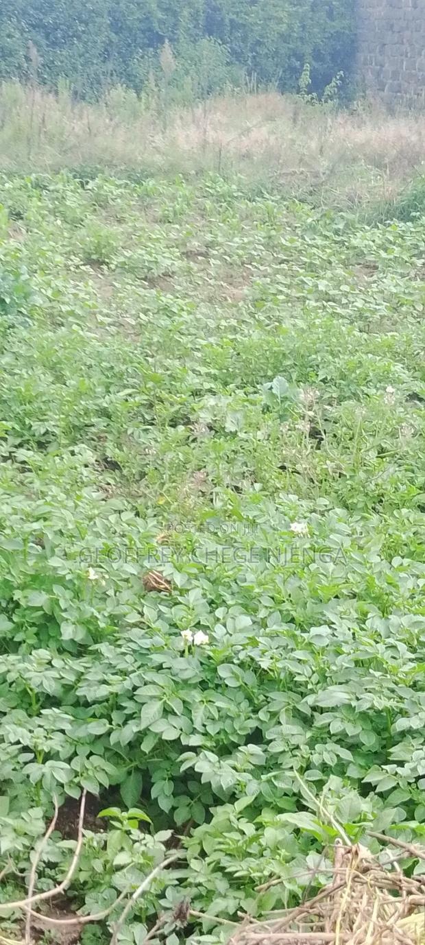 Selling A Prime Plot At Barnabas Near Negotiable