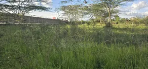 One Acre Land for Sale, Near Northlands City