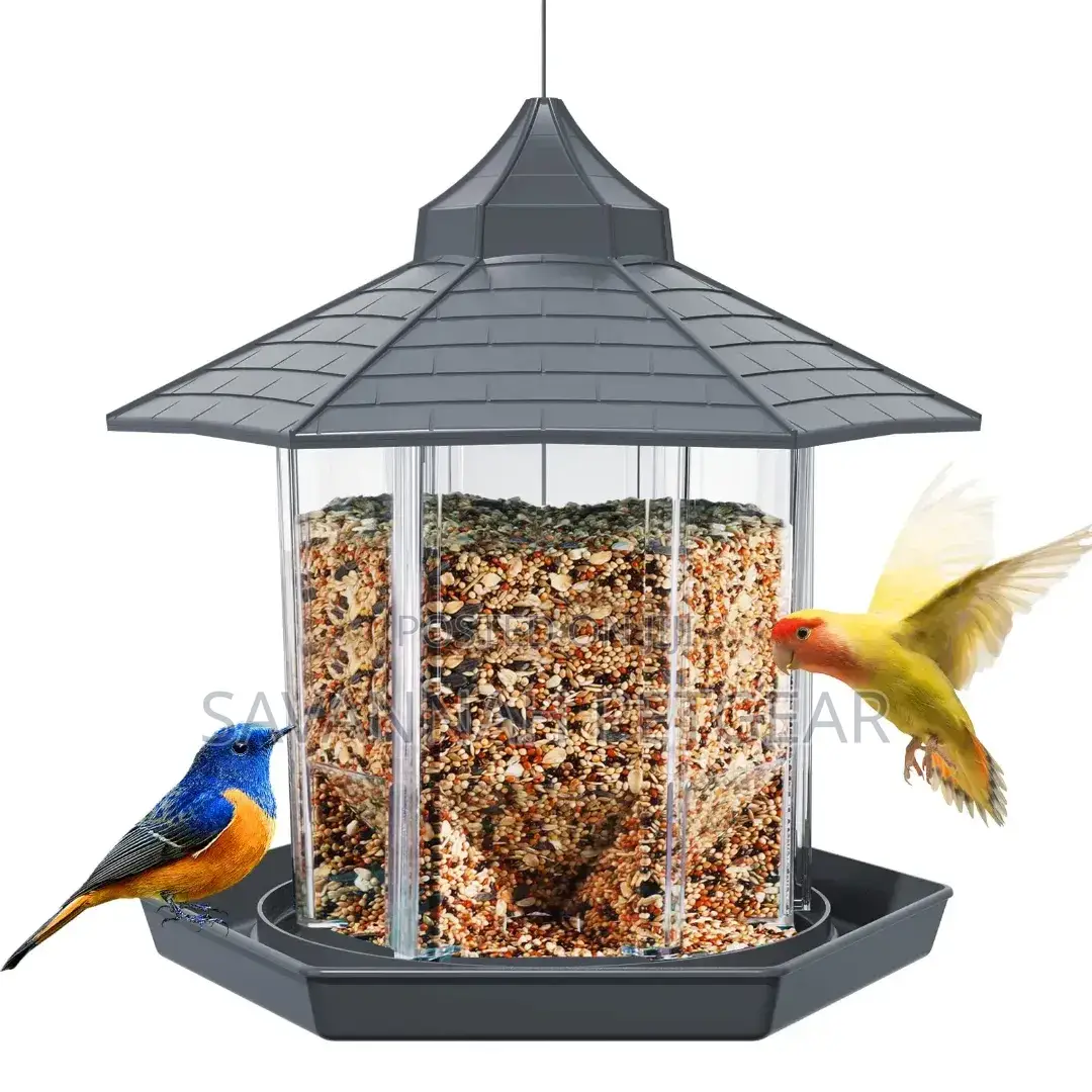 Acrylic Hanging Bird Feeder (Dirty Green Colour)