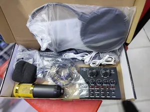 Professional Bm-800 Condenser Microphone Bundle With V8 Livesound Card