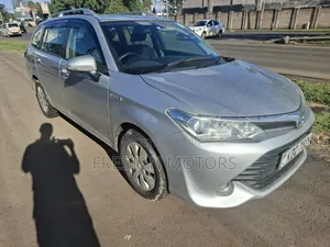 Toyota Corolla Fielder 2017 Silver