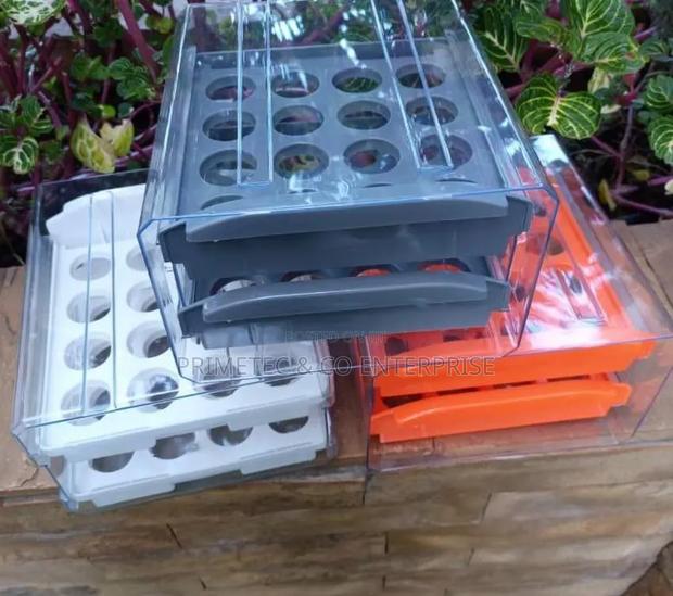 Acrylic Egg Organizer Holds Up to 32eggs