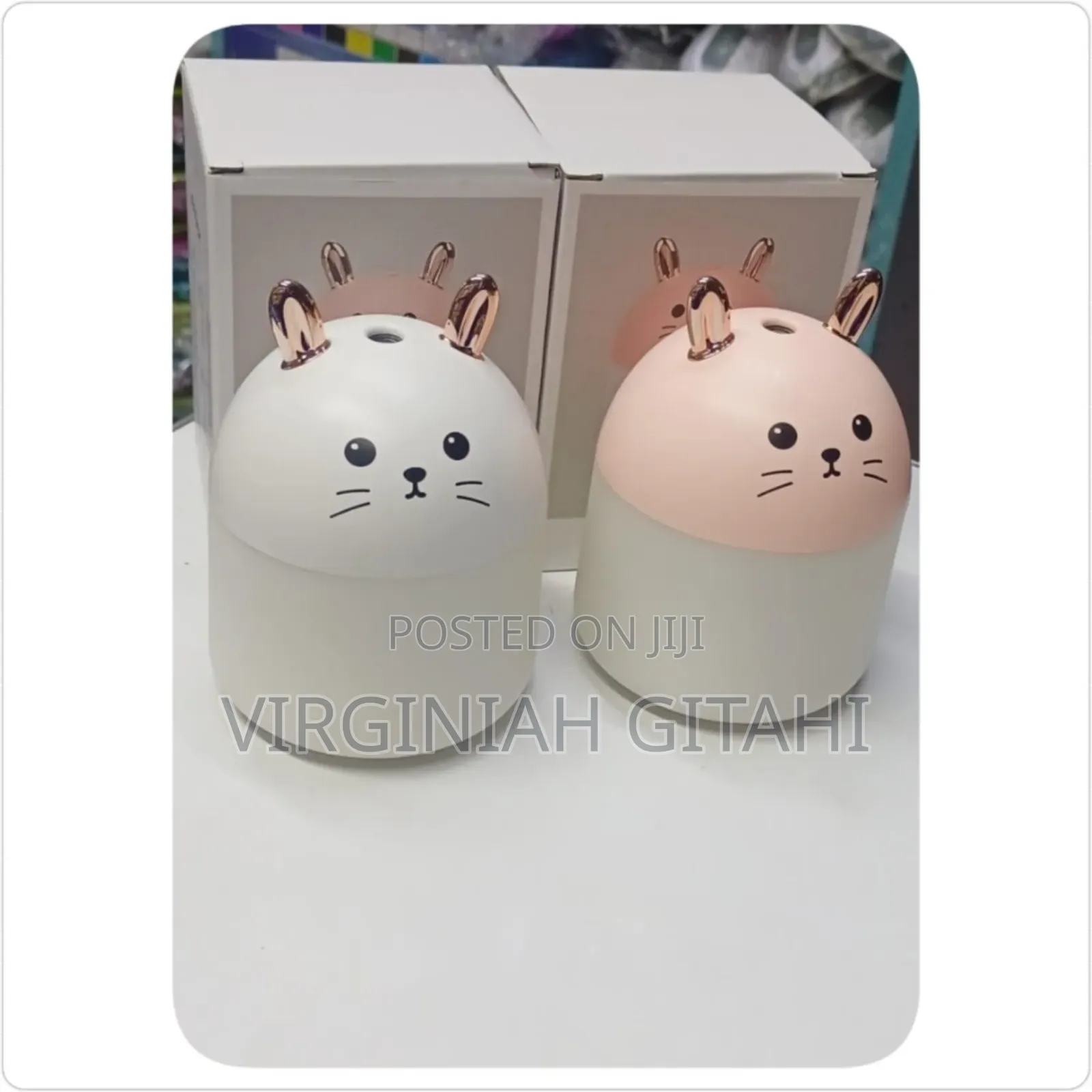 Rabbit Humidifier*