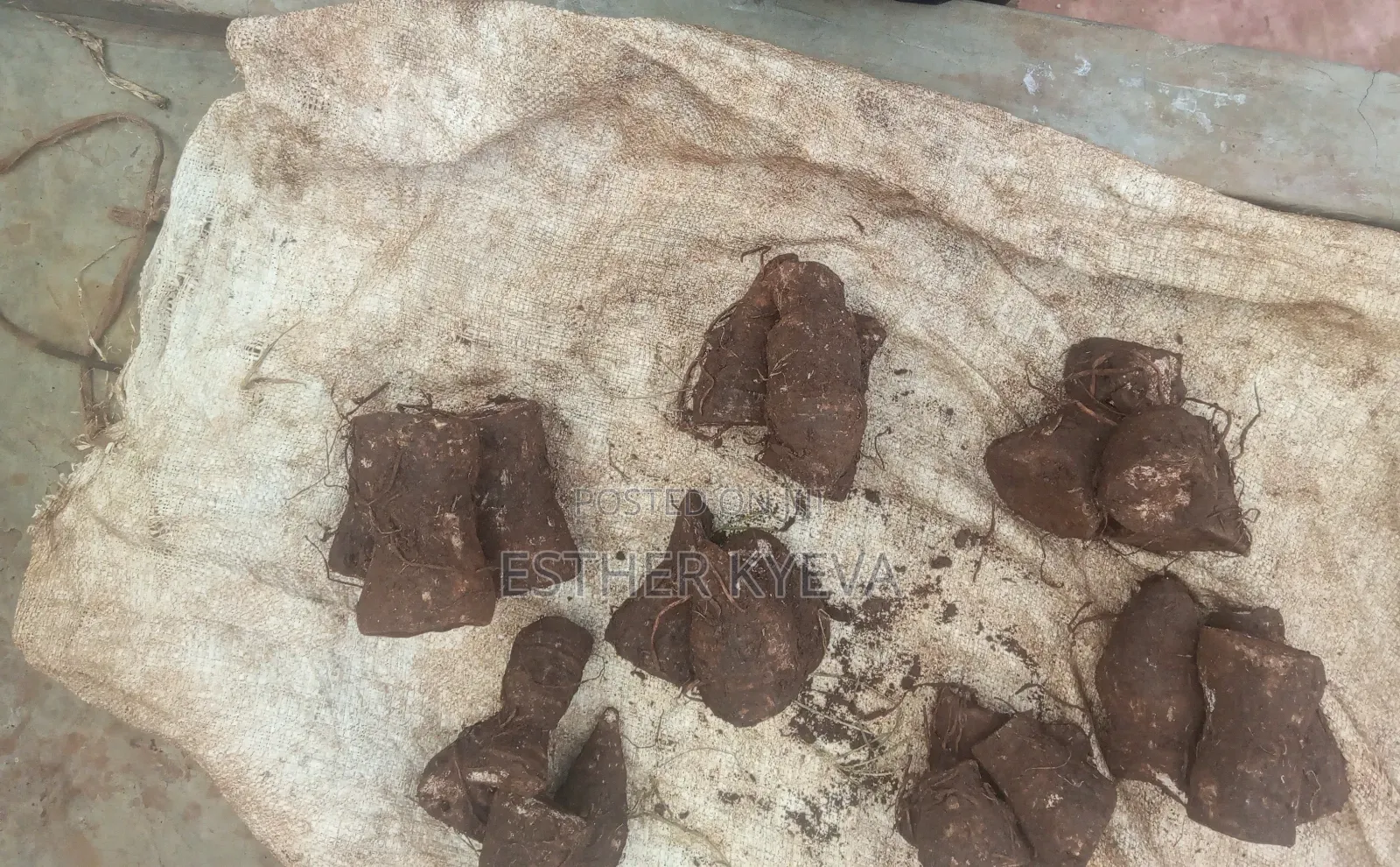 Agricultural Products