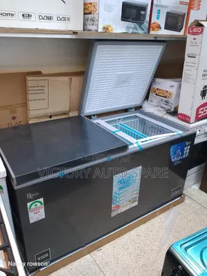 2 Door Roch Deep Freezer