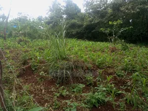 Plot for Sale 40 by 60 With Ready Title Deed Located in Gachie Kihara