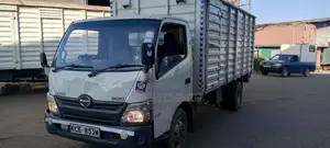 Hino Dutro 300