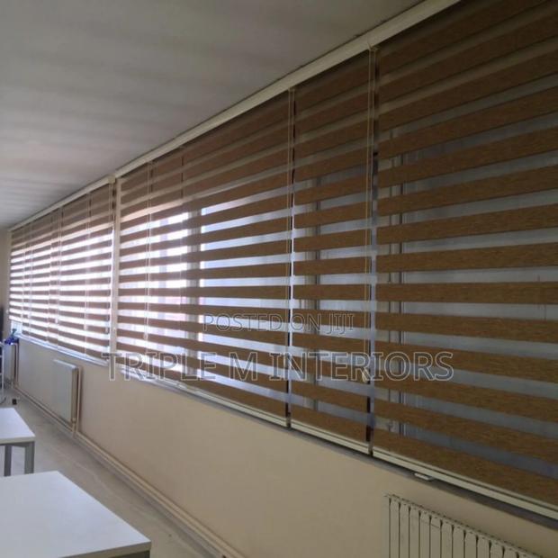 Luxury Dual-Layer Zebra Blinds Designs
